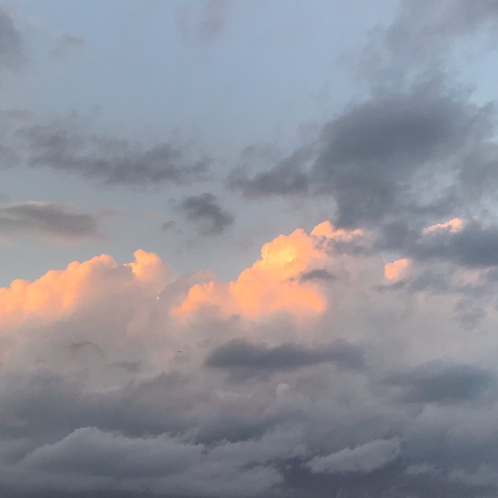 Meet your Posher, Natasha